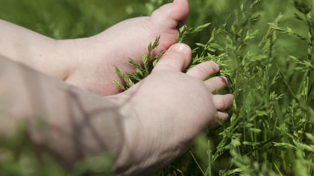 Tragedi Ciputat: Bayi 6 Bulan Meninggal